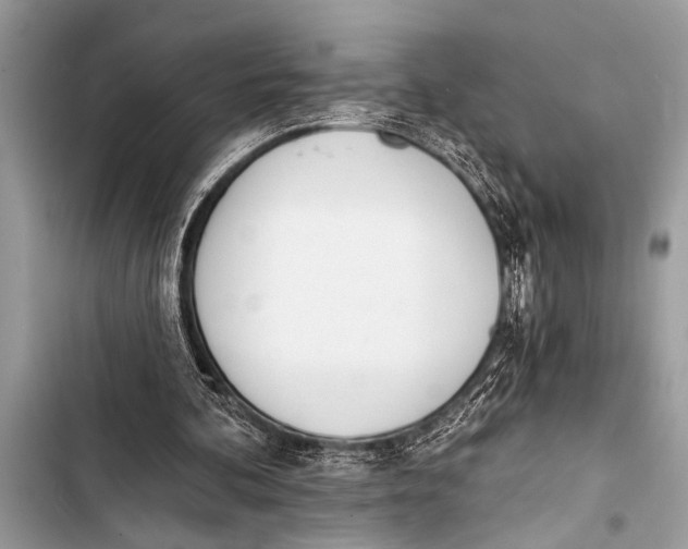 X0000103440292200810031419