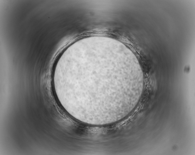 X0000103440293200810031419