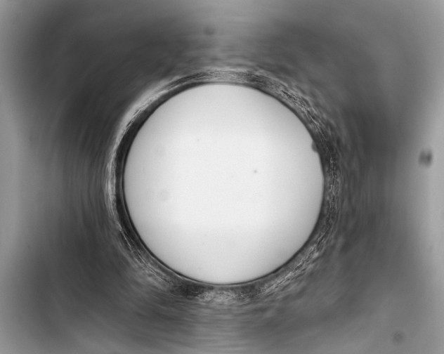 X0000103440294200810031419