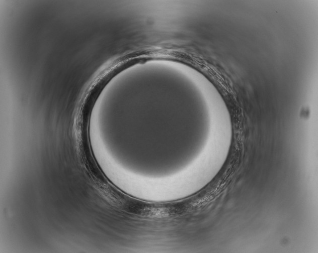 X0000103440295200810031419