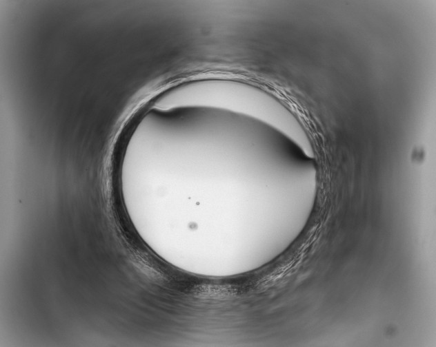 X0000103440296200810031419