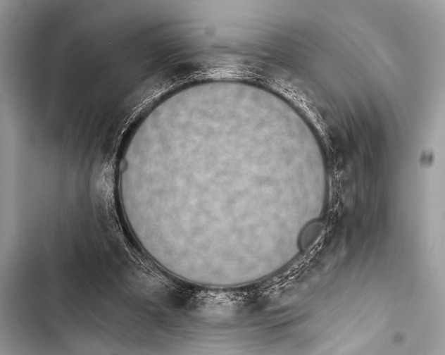 X0000103440297200810031419
