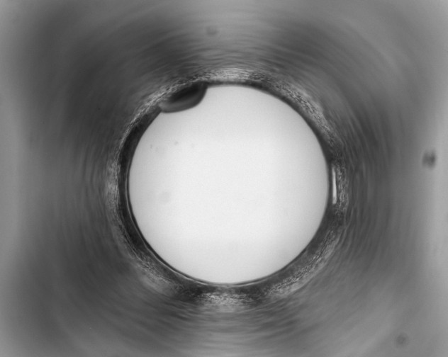 X0000103440300200810031419