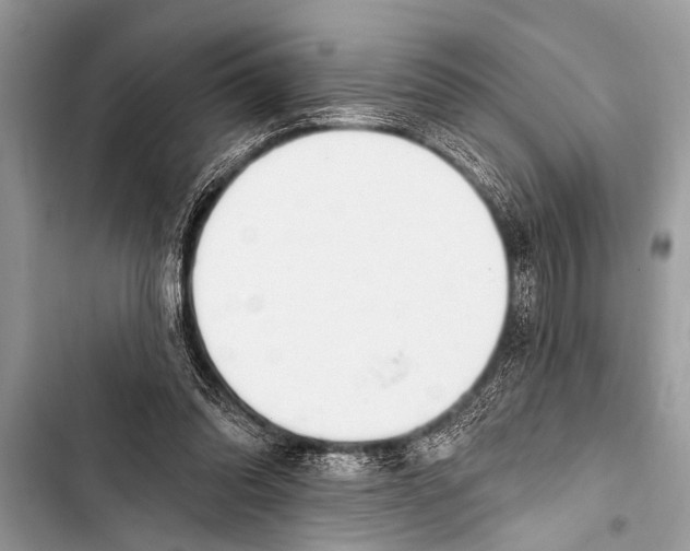 X0000103440302200810031419
