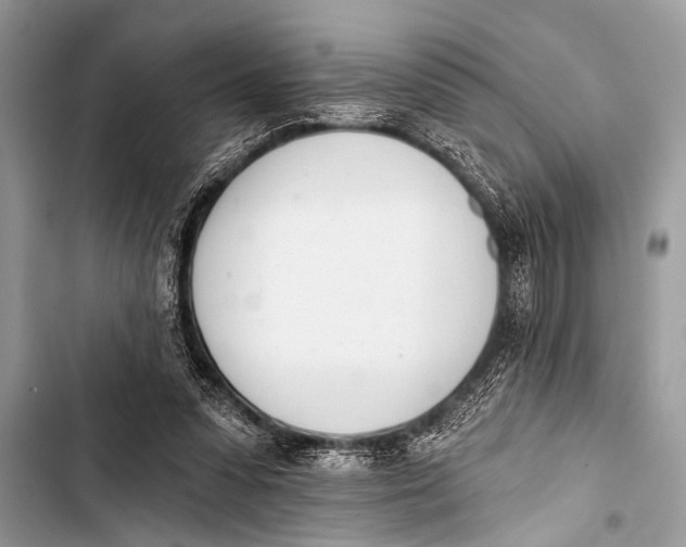 X0000103440303200810031419
