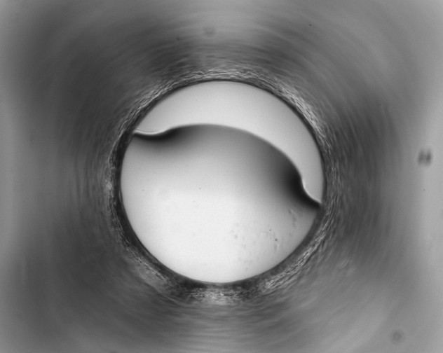 X0000103440305200810031419