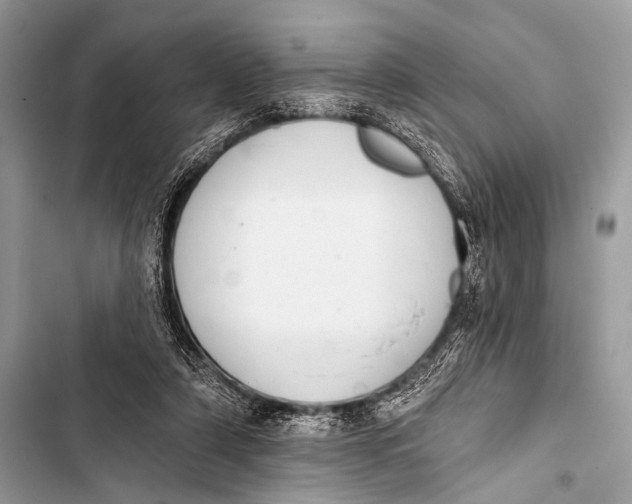 X0000103440306200810031419