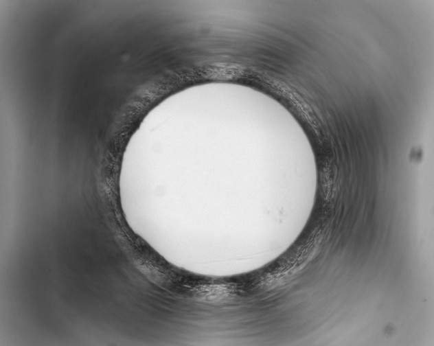 X0000103440307200810031419