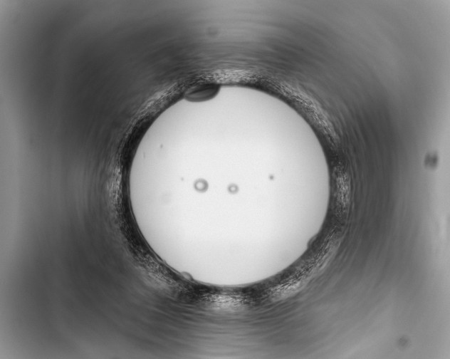 X0000103440308200810031419