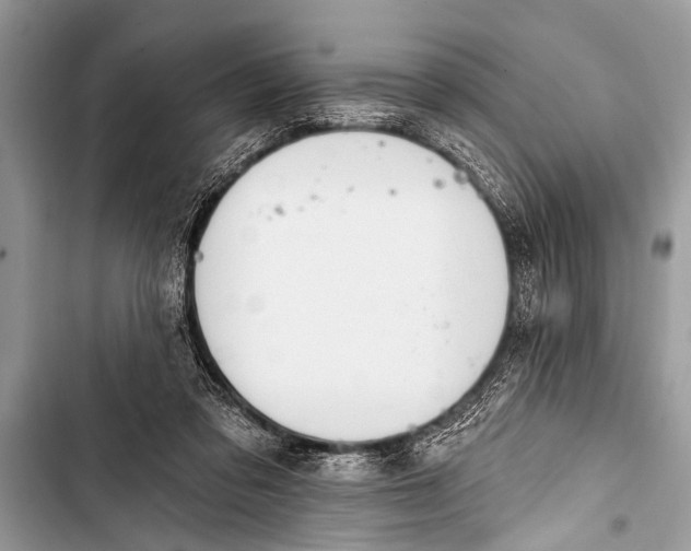 X0000103440309200810031419