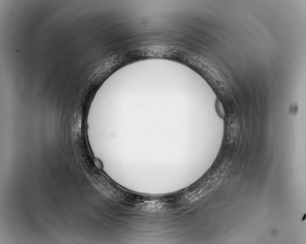 X0000103440310200810031419