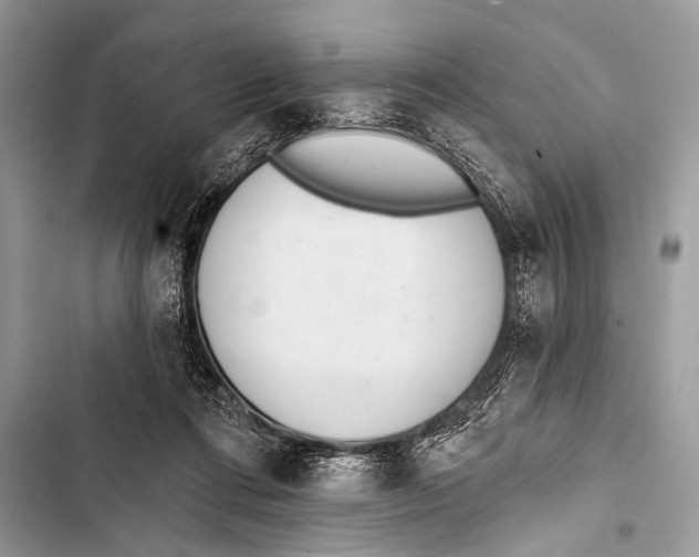 X0000103440312200810031419