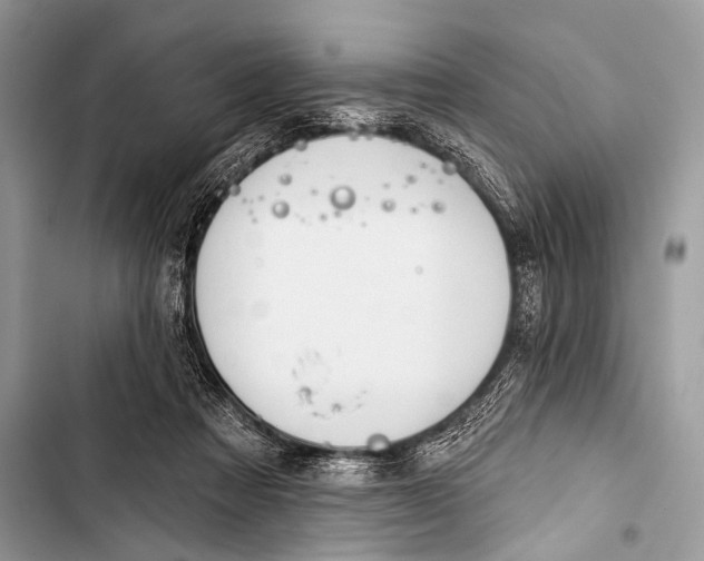 X0000103440313200810031419