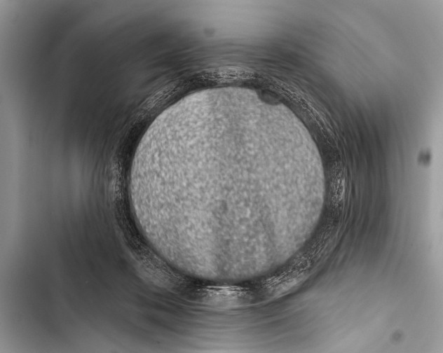 X0000103440316200810031419