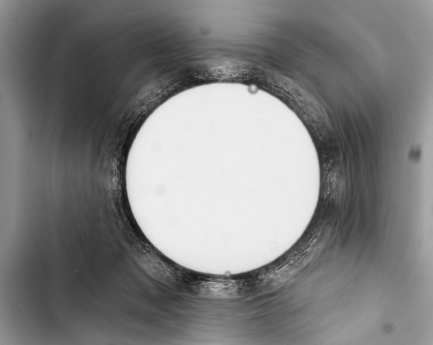 X0000103440317200810031419