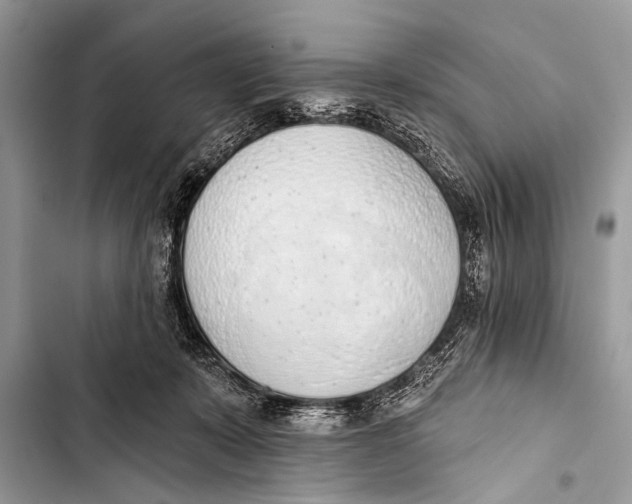 X0000103440319200810031419