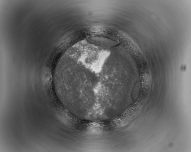 X0000103440320200810031419