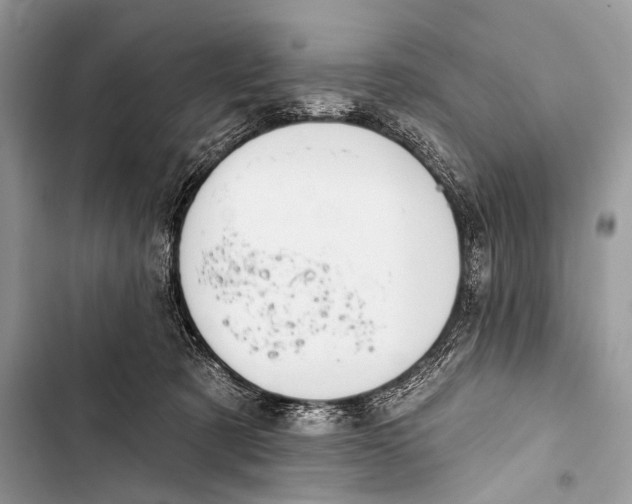 X0000103440321200810031419