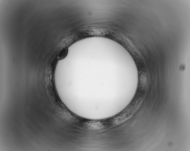 X0000103440322200810031419