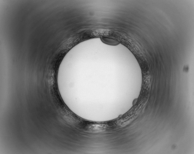 X0000103440323200810031419