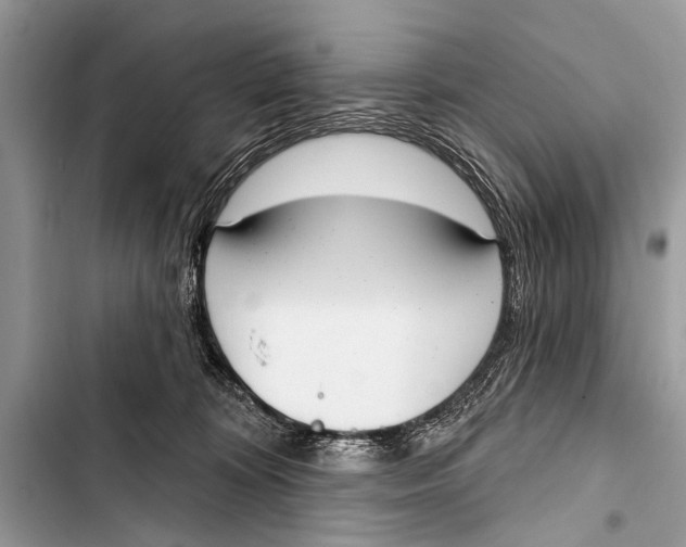 X0000103440324200810031419