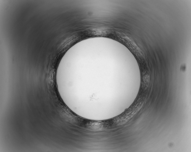 X0000103440325200810031419