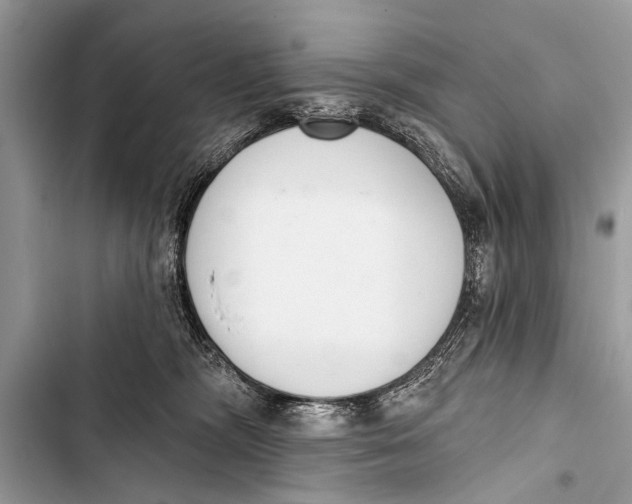 X0000103440326200810031419
