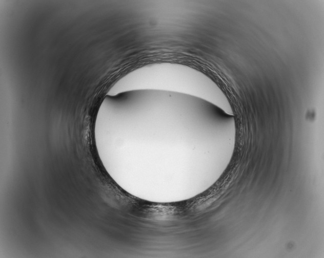 X0000103440328200810031419