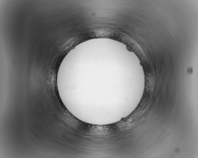 X0000103440329200810031419
