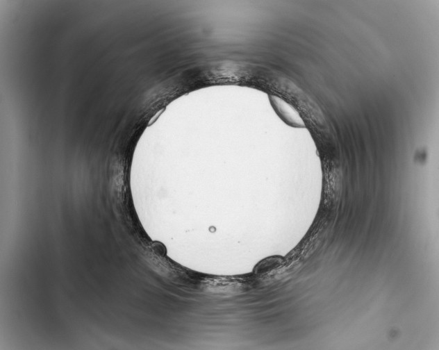 X0000103440331200810031419
