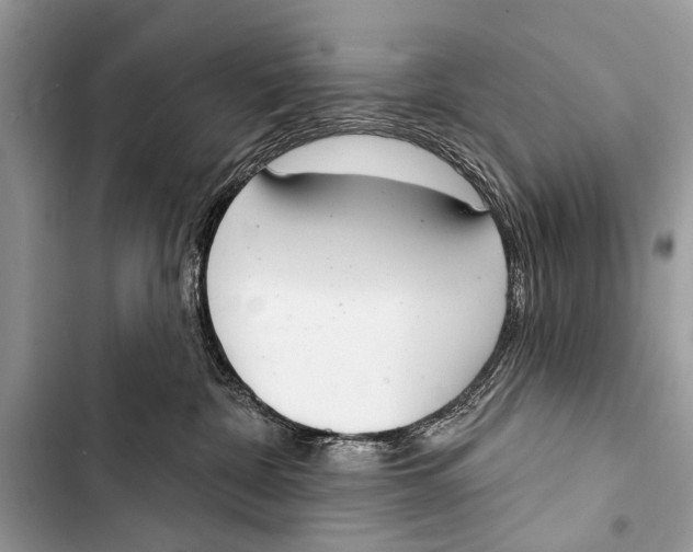 X0000103440332200810031419