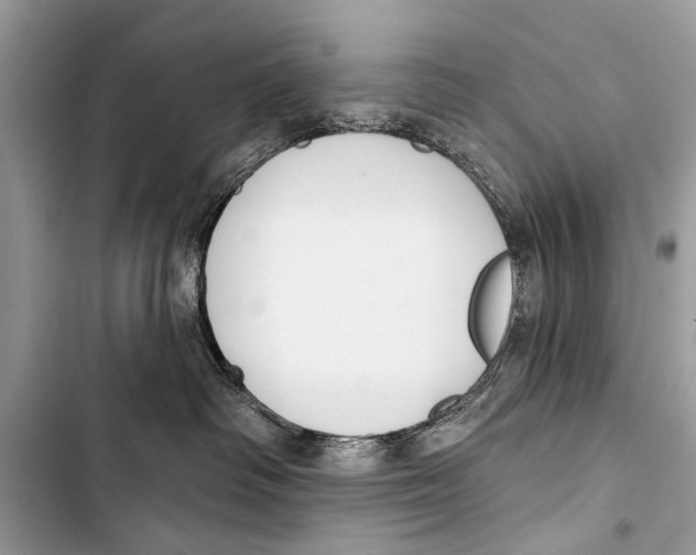 X0000103440334200810031419