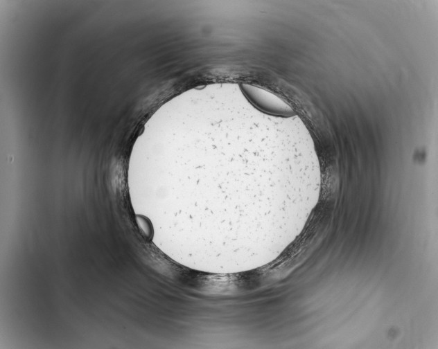 X0000103440335200810031419