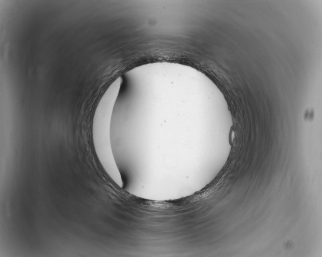 X0000103440336200810031419
