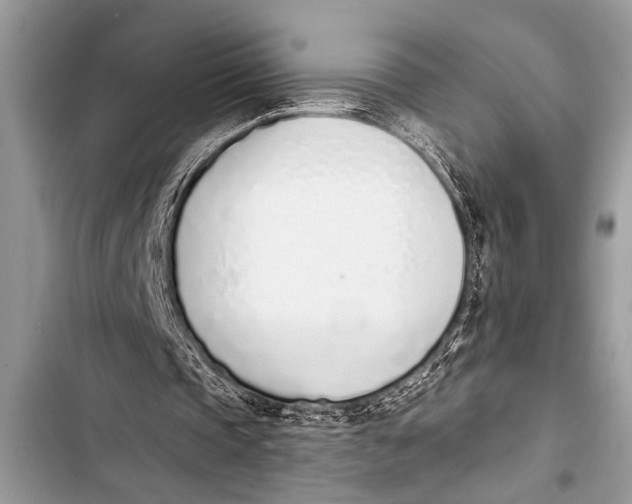 X0000103440337200810031418