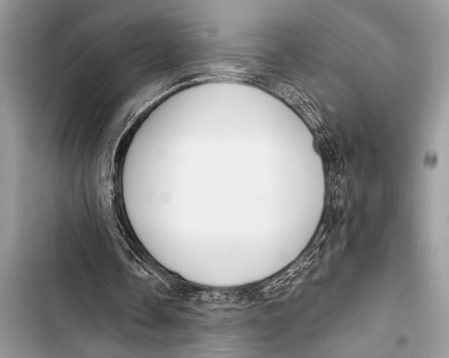 X0000103440338200810031418