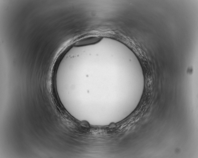 X0000103440340200810031418