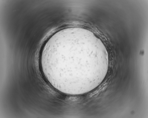 X0000103440341200810031418