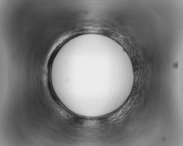 X0000103440342200810031418
