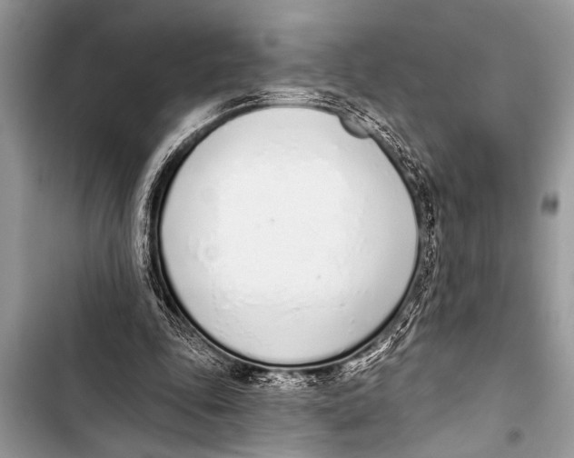 X0000103440343200810031418