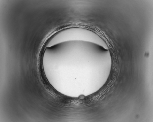 X0000103440344200810031418