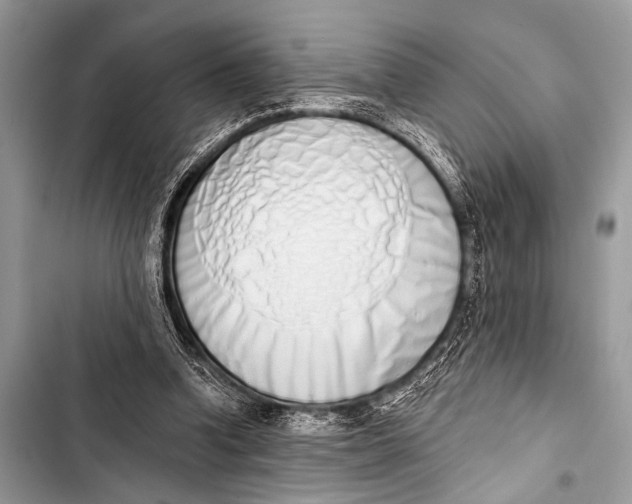 X0000103440346200810031418