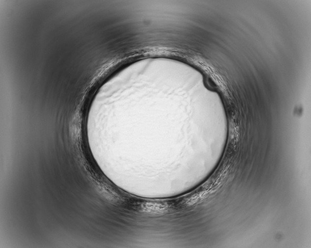 X0000103440347200810031418