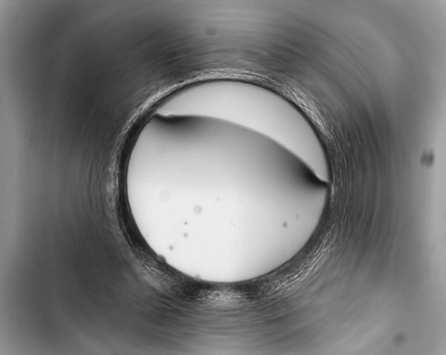 X0000103440348200810031418