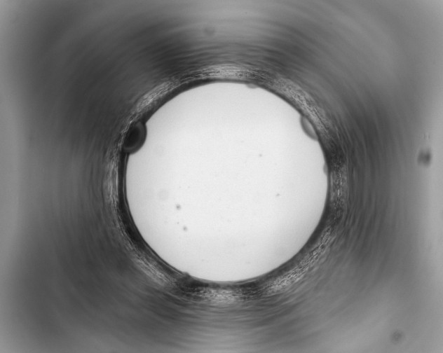 X0000103440349200810031418