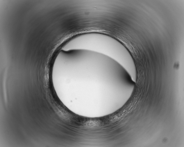 X0000103440350200810031418