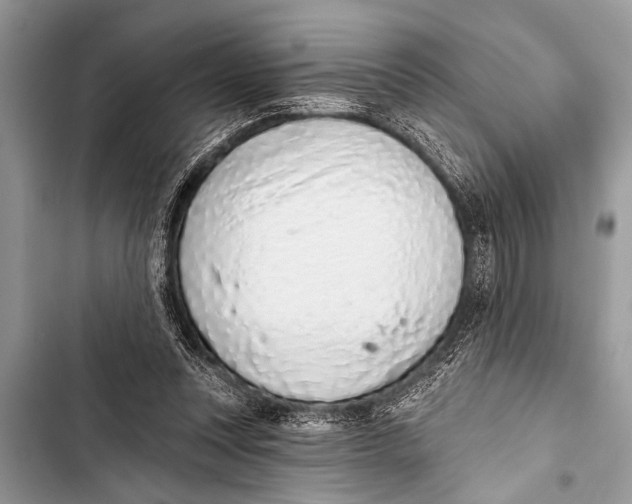 X0000103440351200810031418