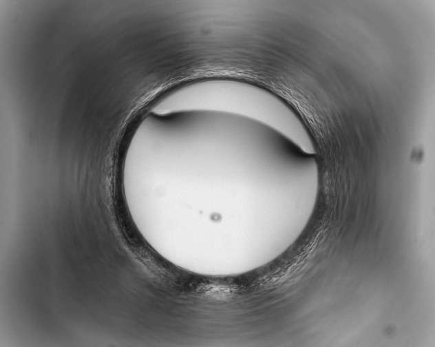 X0000103440352200810031418