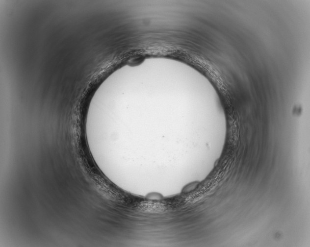 X0000103440354200810031418