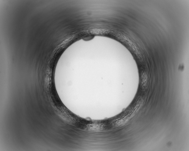 X0000103440356200810031418